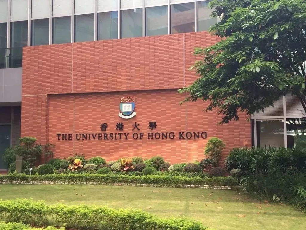 1682574809142419.jpg